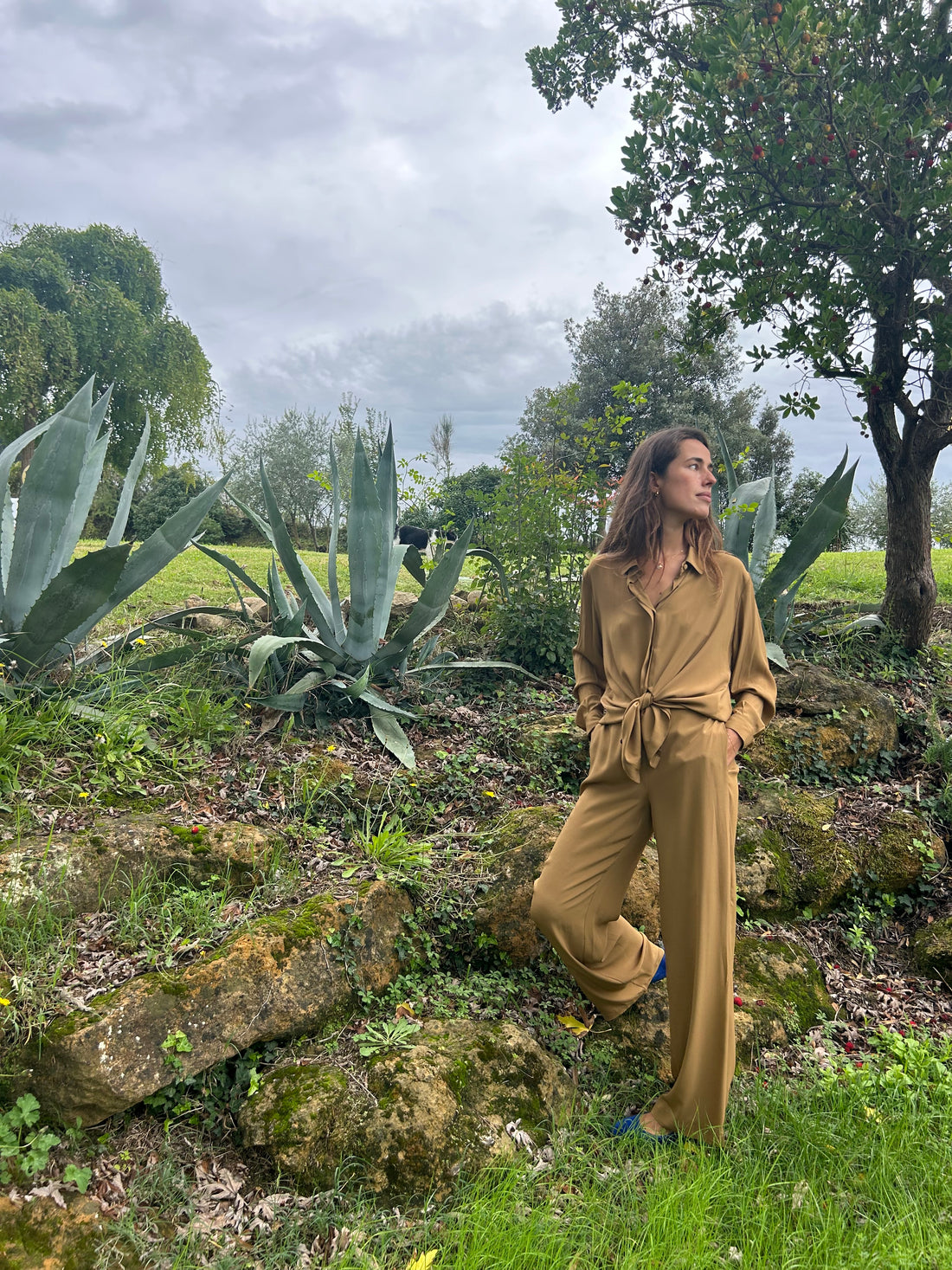 Mustard Brown Trousers